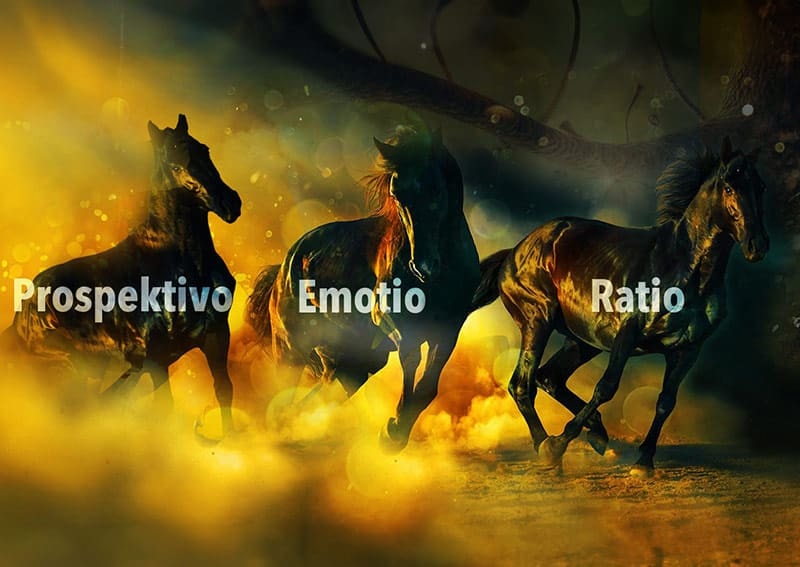 Systemische Coachingausbildung in Wien